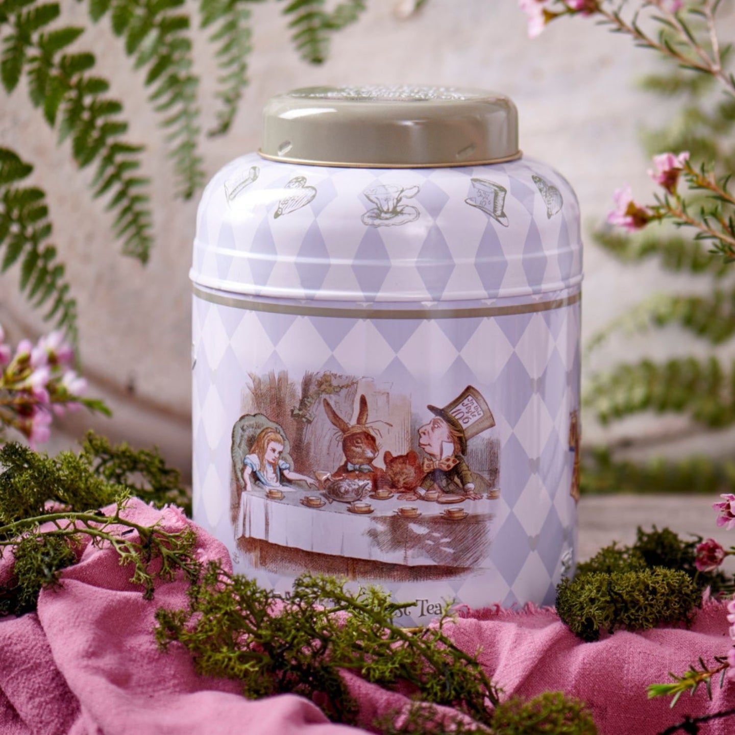 Alice in Wonderland Tea Caddy with 80 English Breakfast Teabags Black Tea New English Teas 